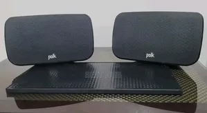 Polk Audio With Surrends
