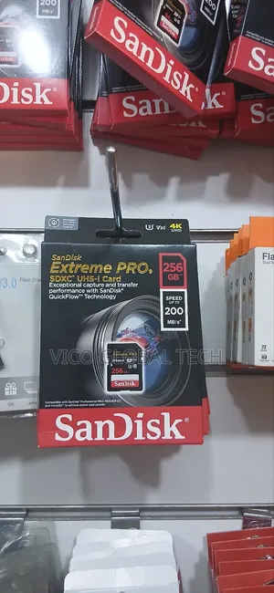 Sandisk 256gb Extreme Pro