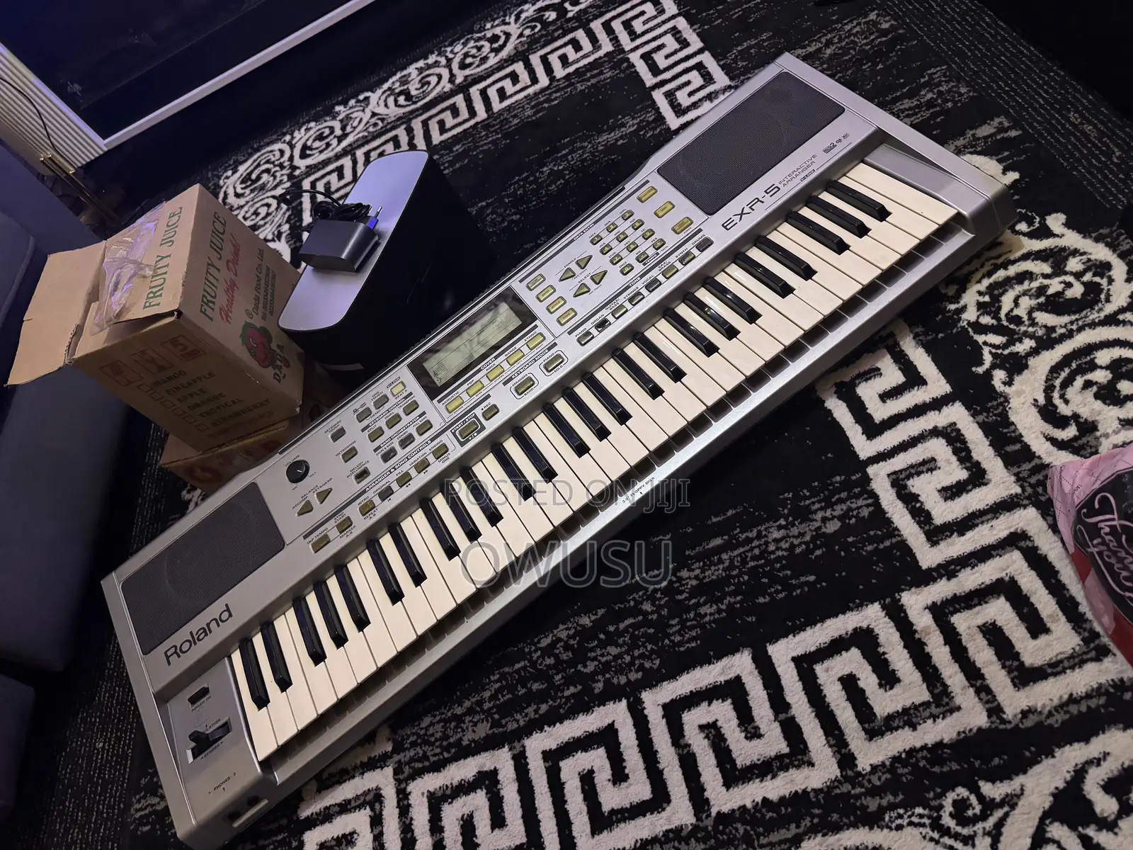 Roland Exr5 Professional Keyboard