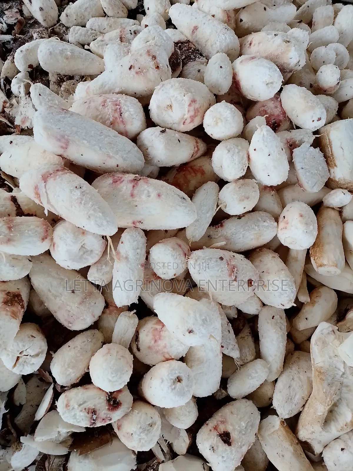 Cassava Peeler
