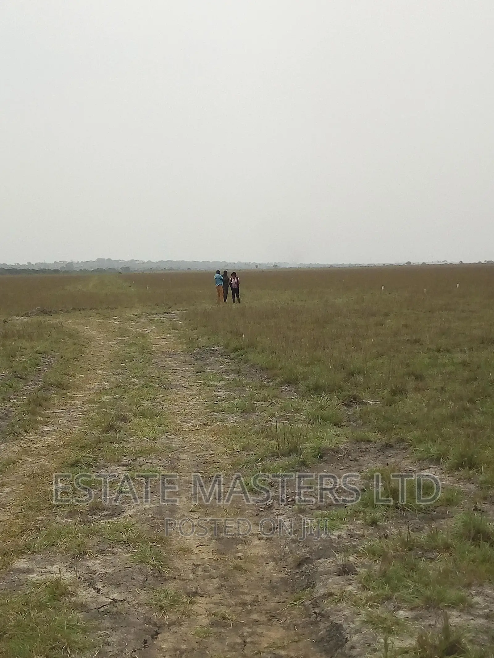 Ideal Area Land