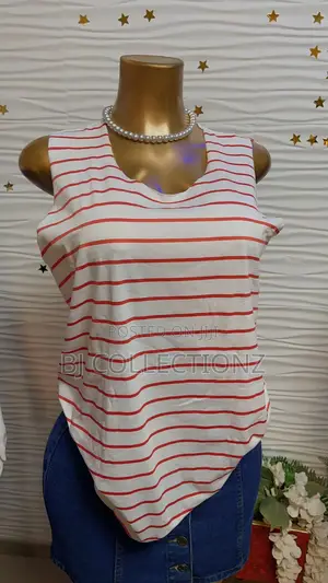 Ladies Top