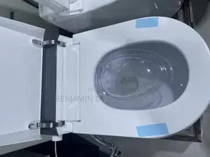 Stylish Wc Europe Standard