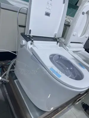 Stylish Wc Europe Standard