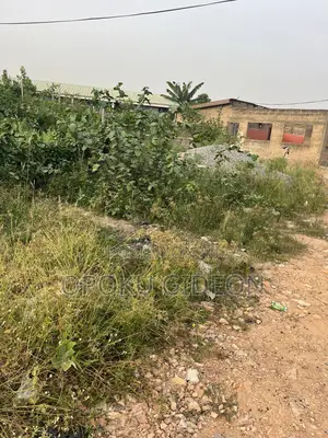 1 Plot of Land for Sale