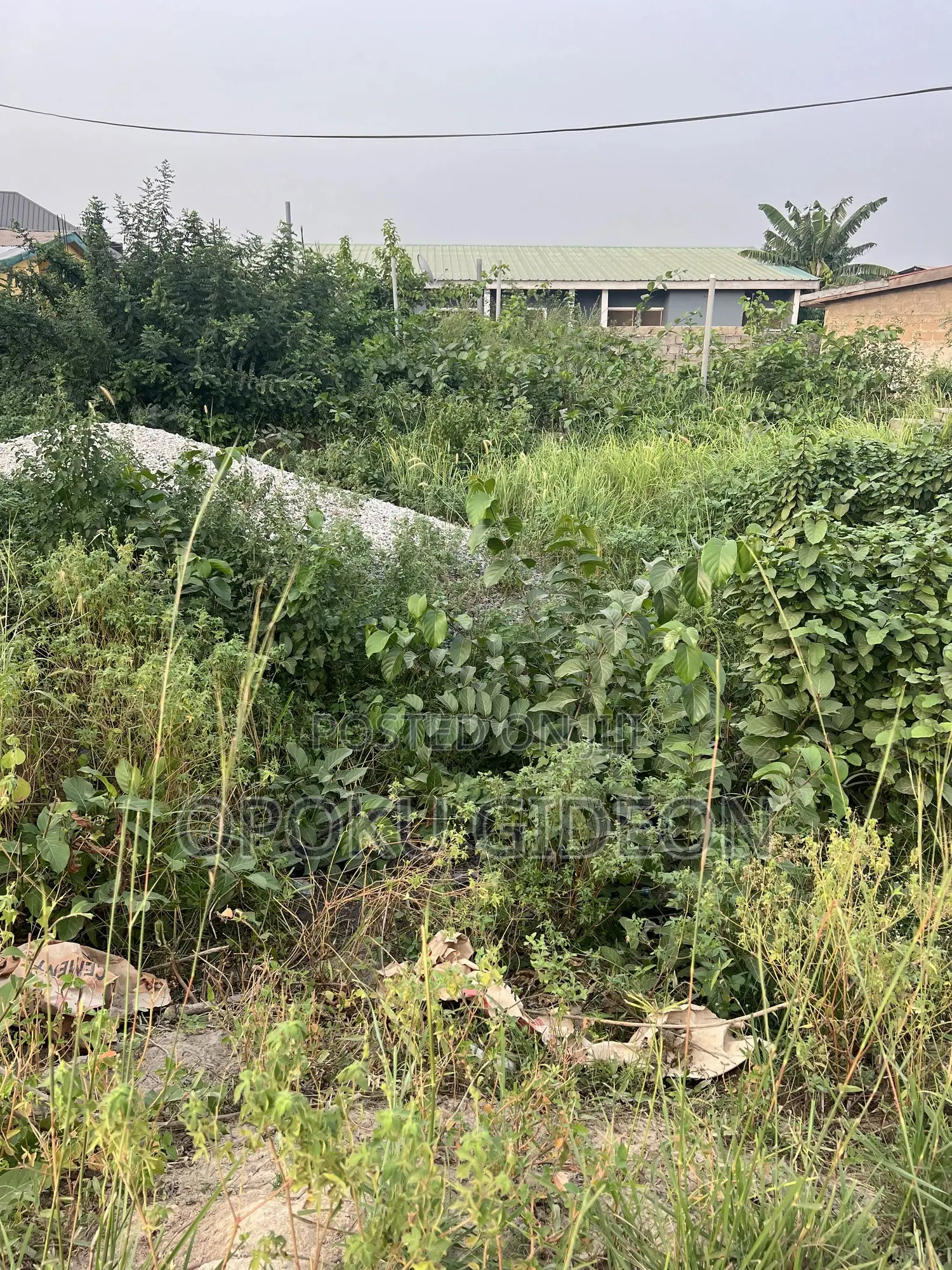 1 Plot of Land for Sale