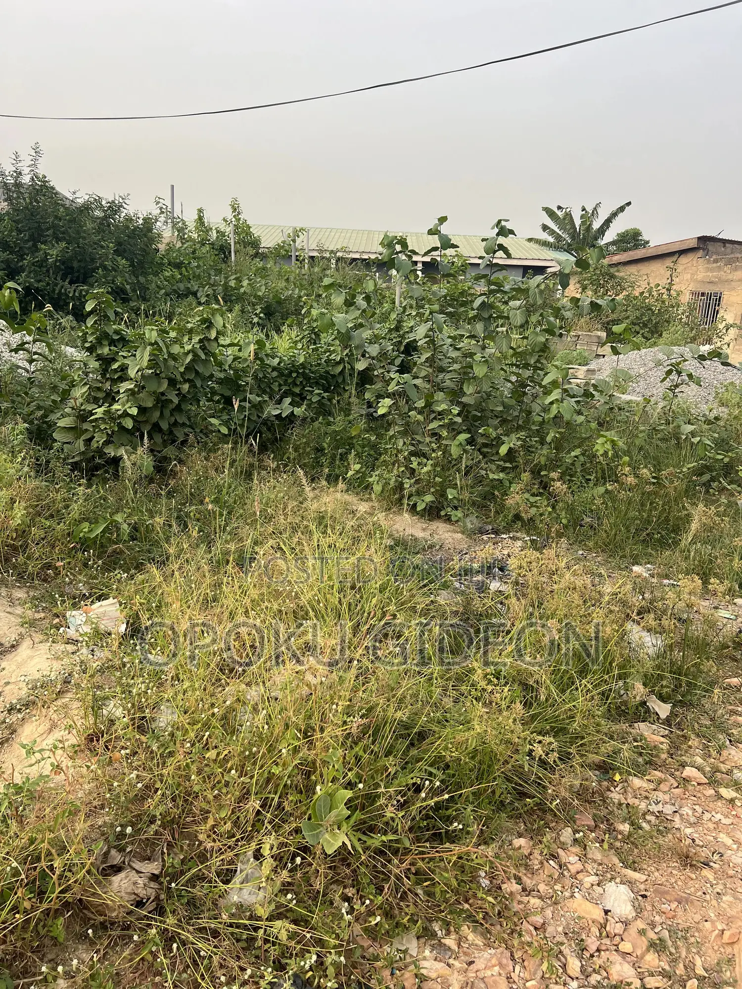 1 Plot of Land for Sale