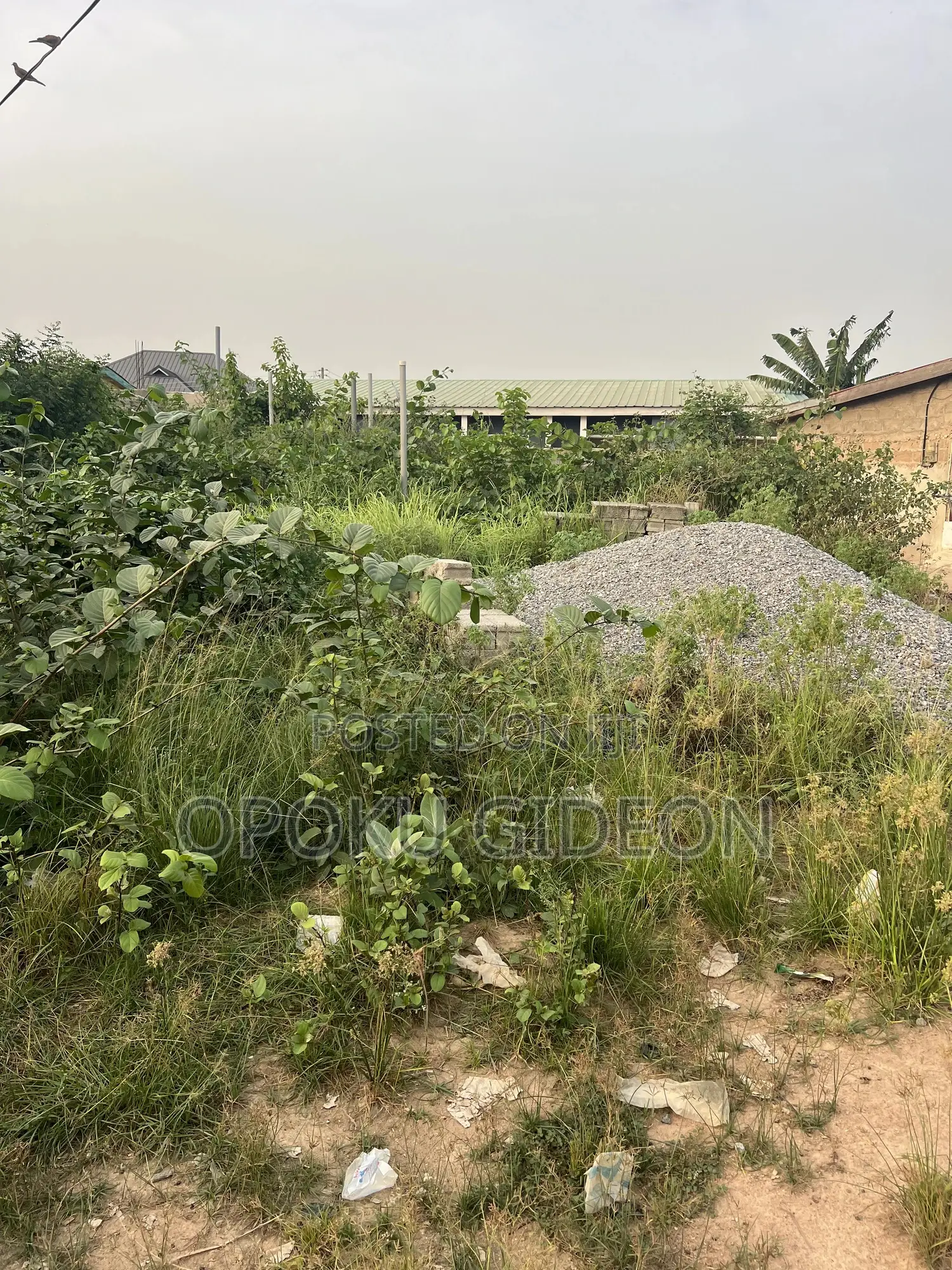 1 Plot of Land for Sale