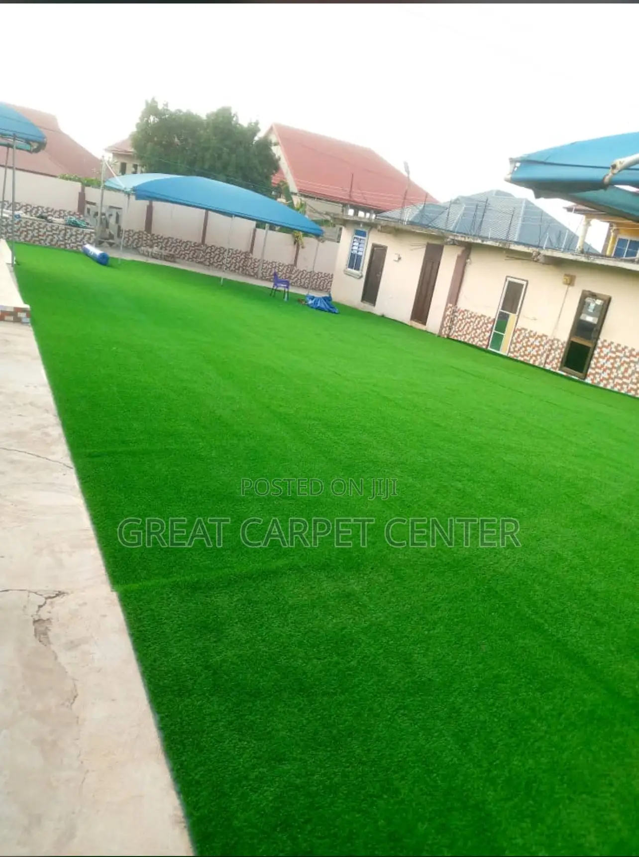 Green Grass Carpet(Quality)