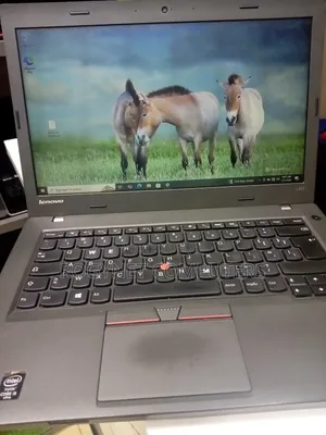 Laptop Lenovo ThinkPad L450 8GB Intel Core i5 HDD 500GB