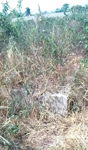 Plot of Land at Kodie Akrofrom