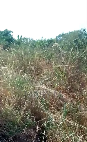 Plot of Land at Kodie Akrofrom