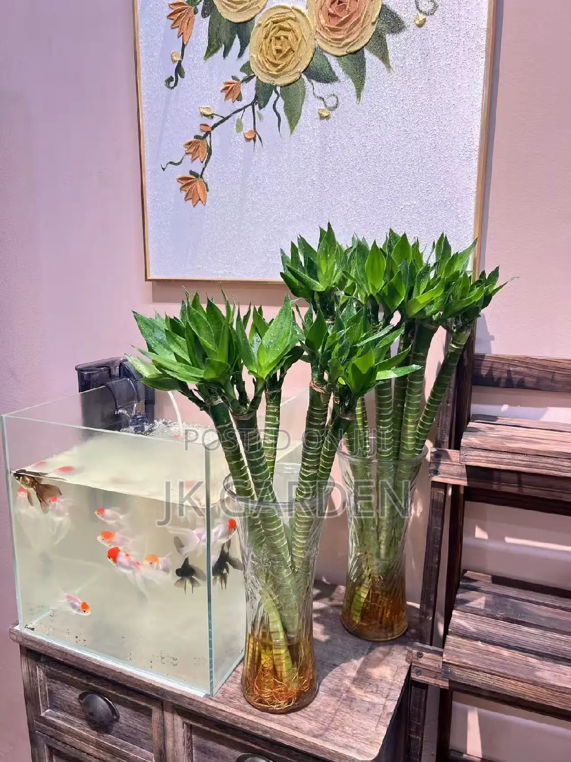 Dragon Bamboo