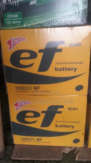 19 and 17 Plate Turkish Car Battery
