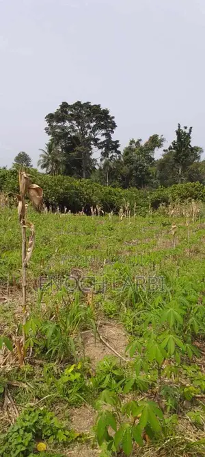 52 Plots ( 9.5 Acres Land) for Sale