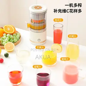 Mini Juicer