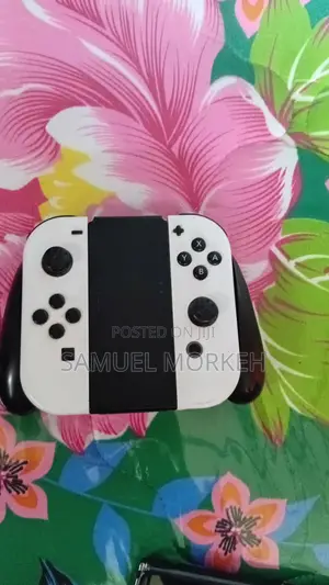 Nintendo Switch Oled 64gb of Storage Space