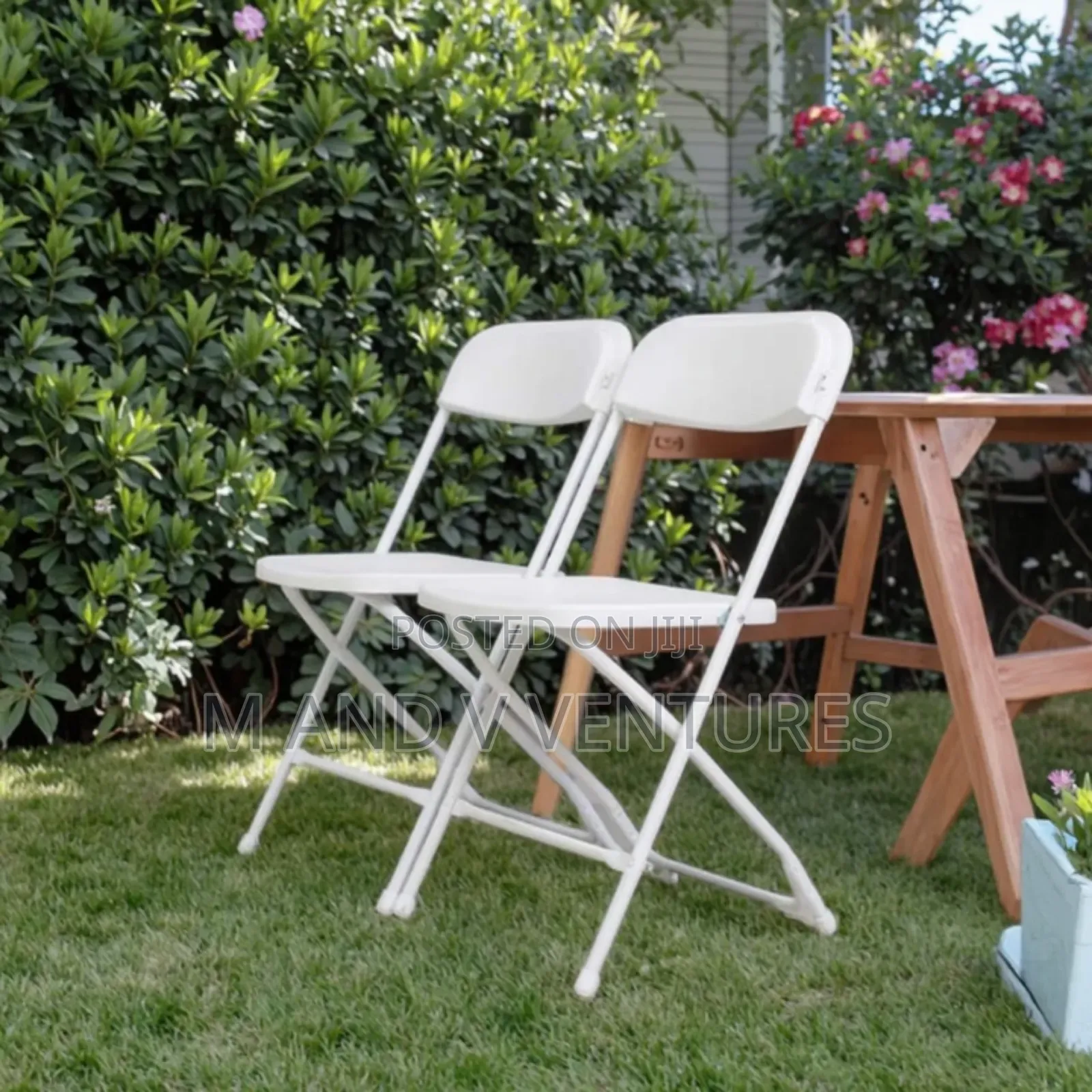 Foldable Chair Plain