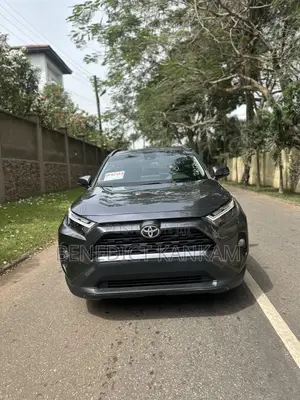 Toyota RAV4 XLE AWD 2023 Gray