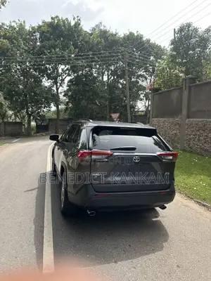 Toyota RAV4 XLE AWD 2023 Gray