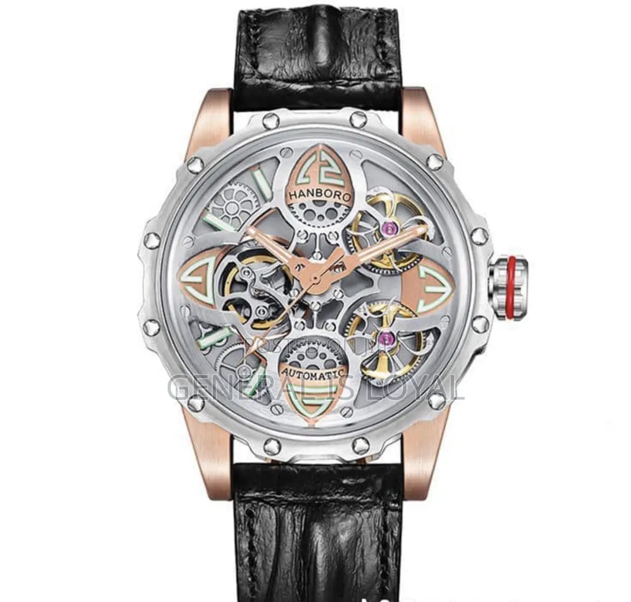 Hanboro Men's Automatic Skeleton Mechanical Watch