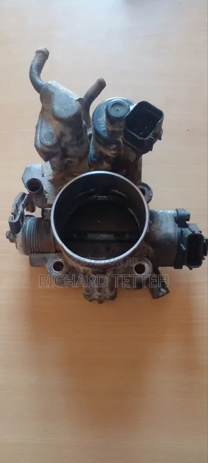 Throttle and Manifold