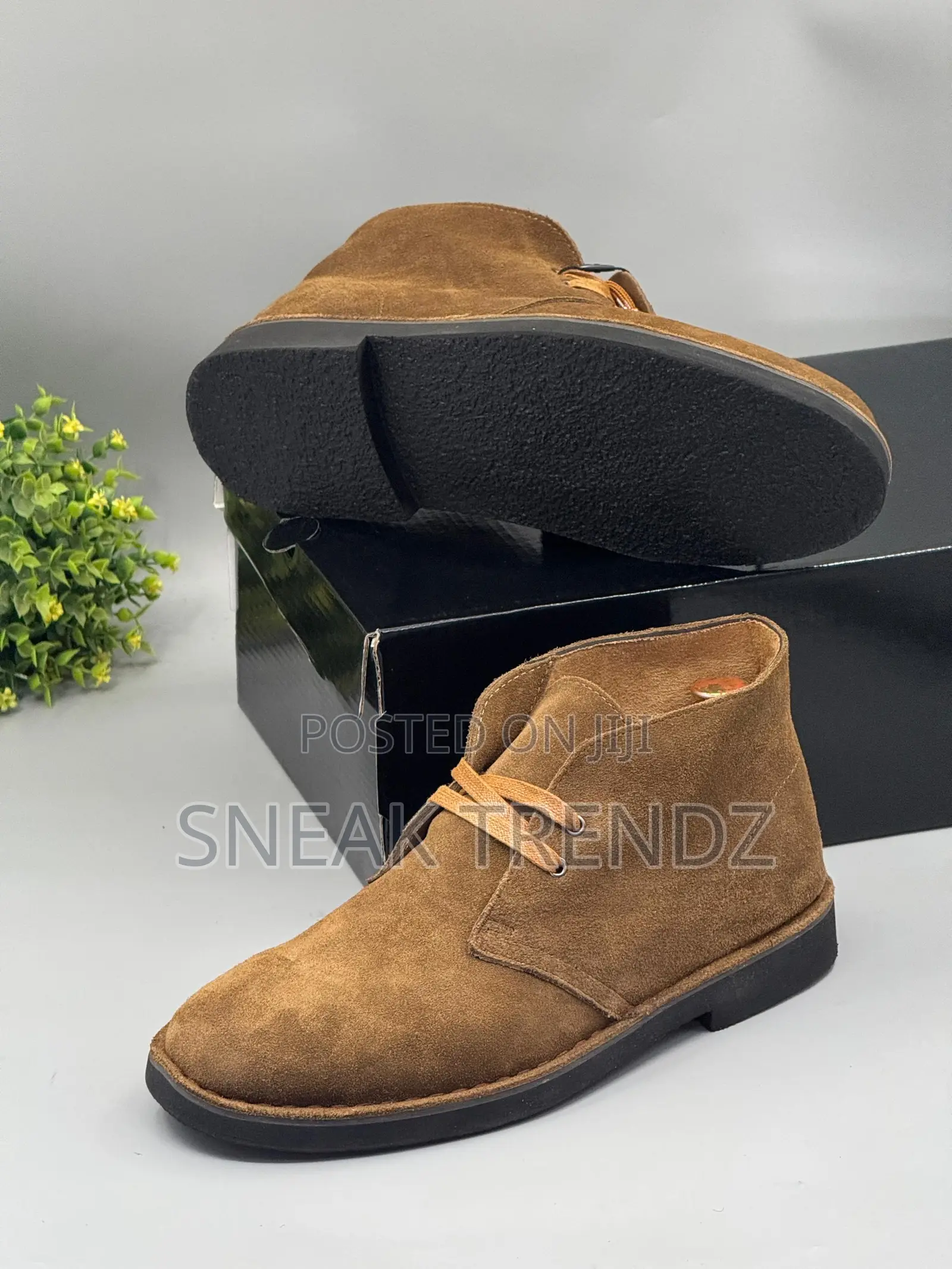 Clarks Desert Original Colors