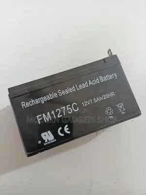 Deep Cycle Sealed Battery