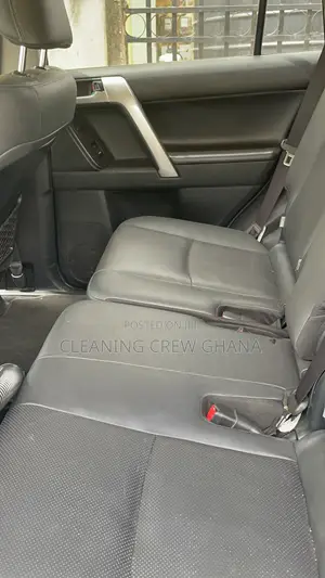 Mobile Car Interior Cleaning