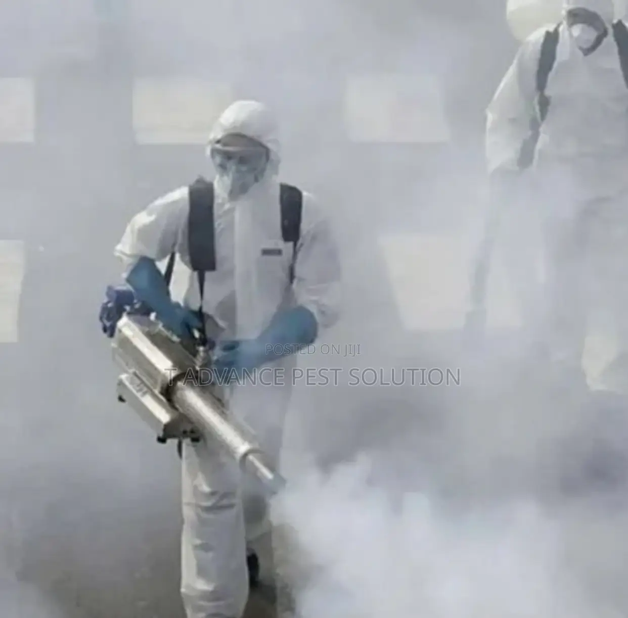 Fumigation Service