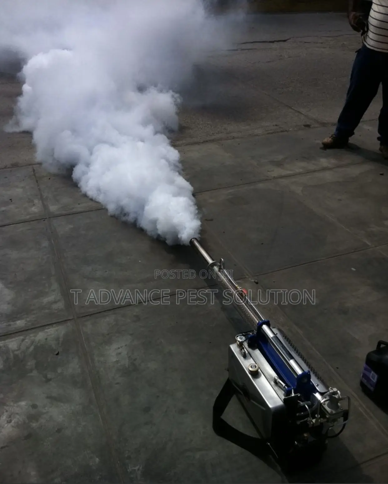 Fumigation Service