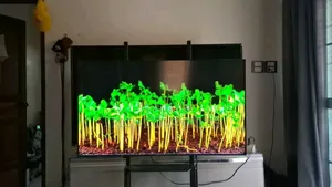60inches Art Tv
