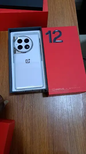 New OnePlus 12 256 GB Silver