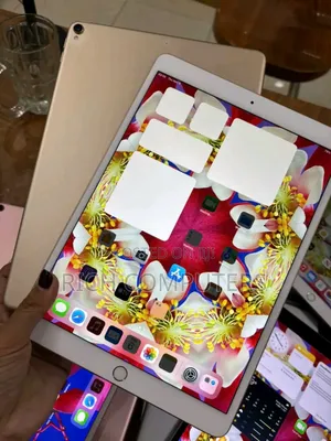 Apple iPad Pro 256 GB Gray