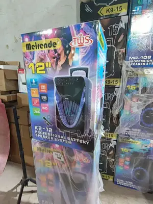 12" 300w Professional Bluetooth Speakers