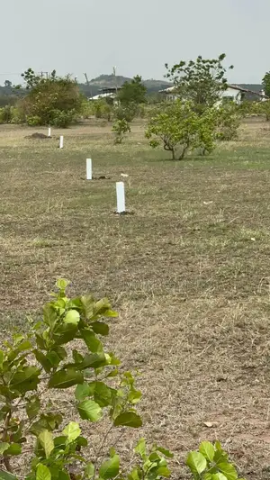Titled Plots +Free Documentation (Shai-Hills, Dawa, Dawhenya Kasoa)