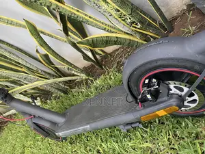 Eletric Scooter