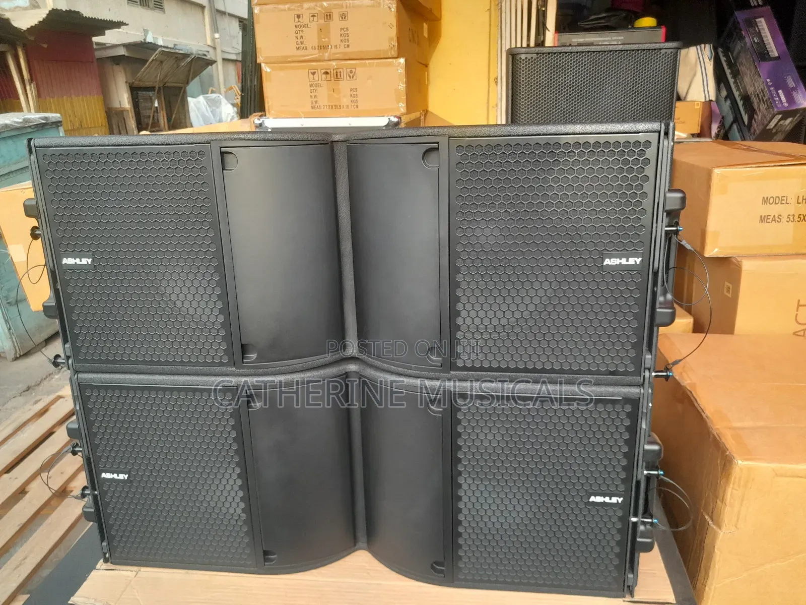 Ashley Line Array Speaker