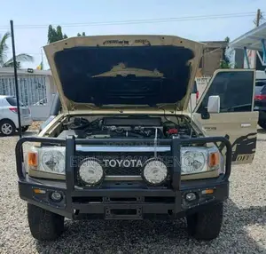 Toyota Land Cruiser 2019 Brown
