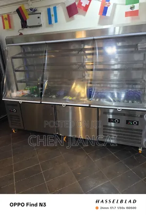 Refrigerated and Frozen Display Cabinet
