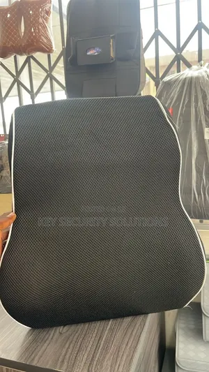 Lumbar Support With Buckle