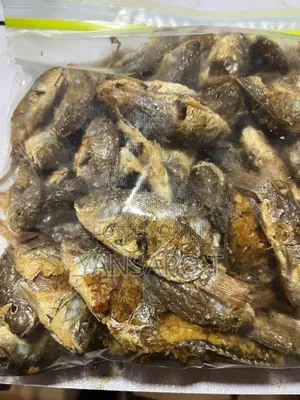 Baby Tilapia
