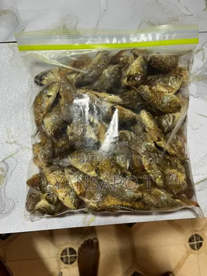 Baby Tilapia