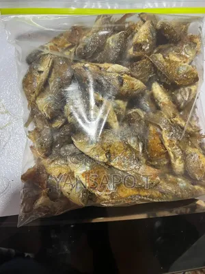 Baby Tilapia