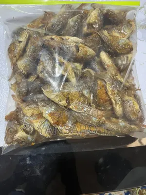 Baby Tilapia
