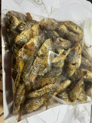 Baby Tilapia