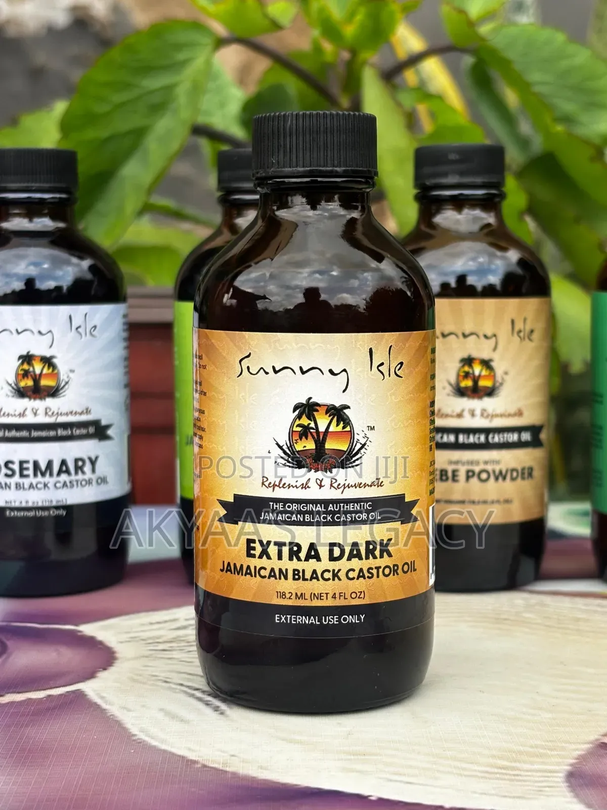 Jamaican Black Castor Oils