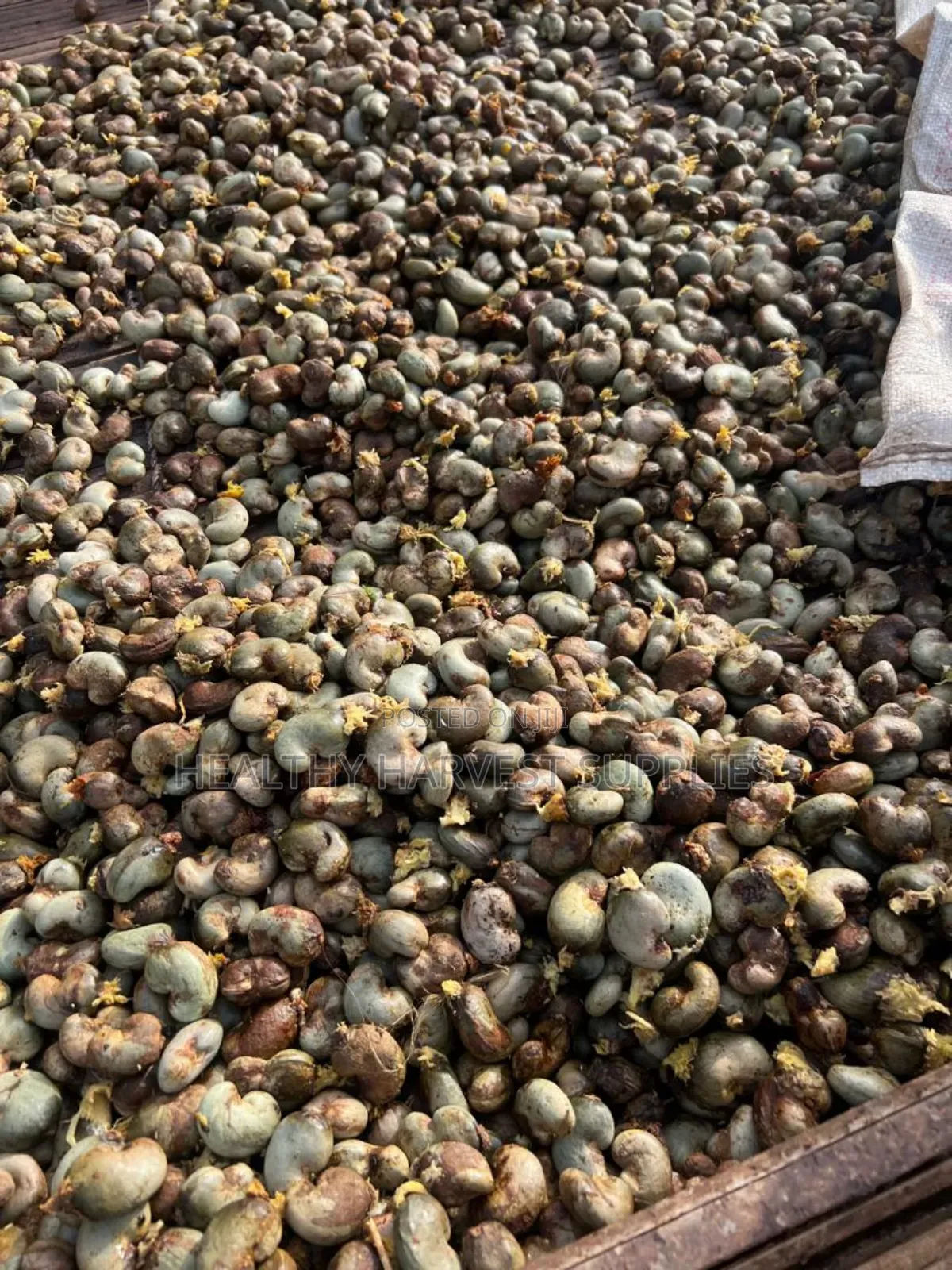 Cashew Nuts