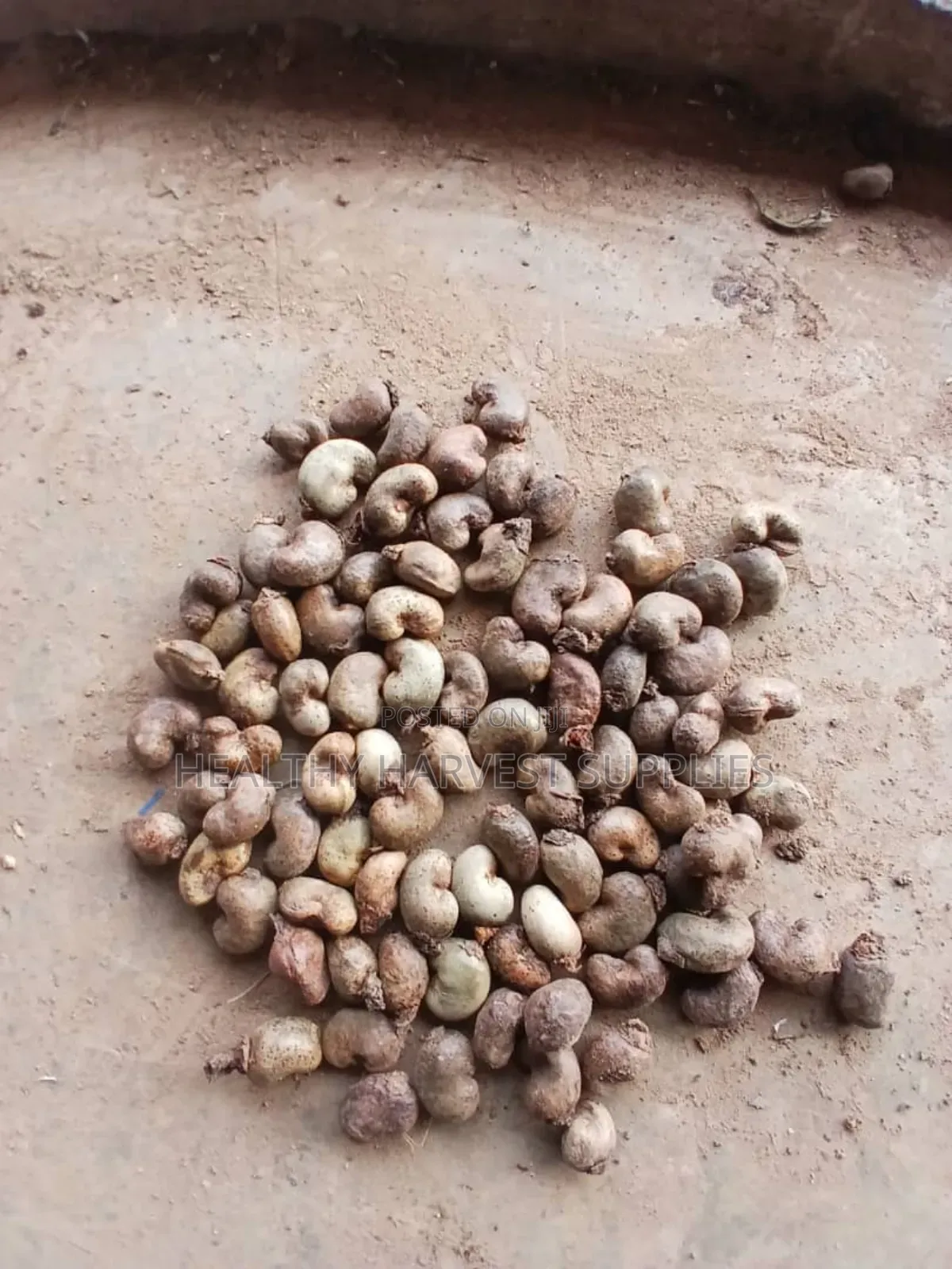 Cashew Nuts