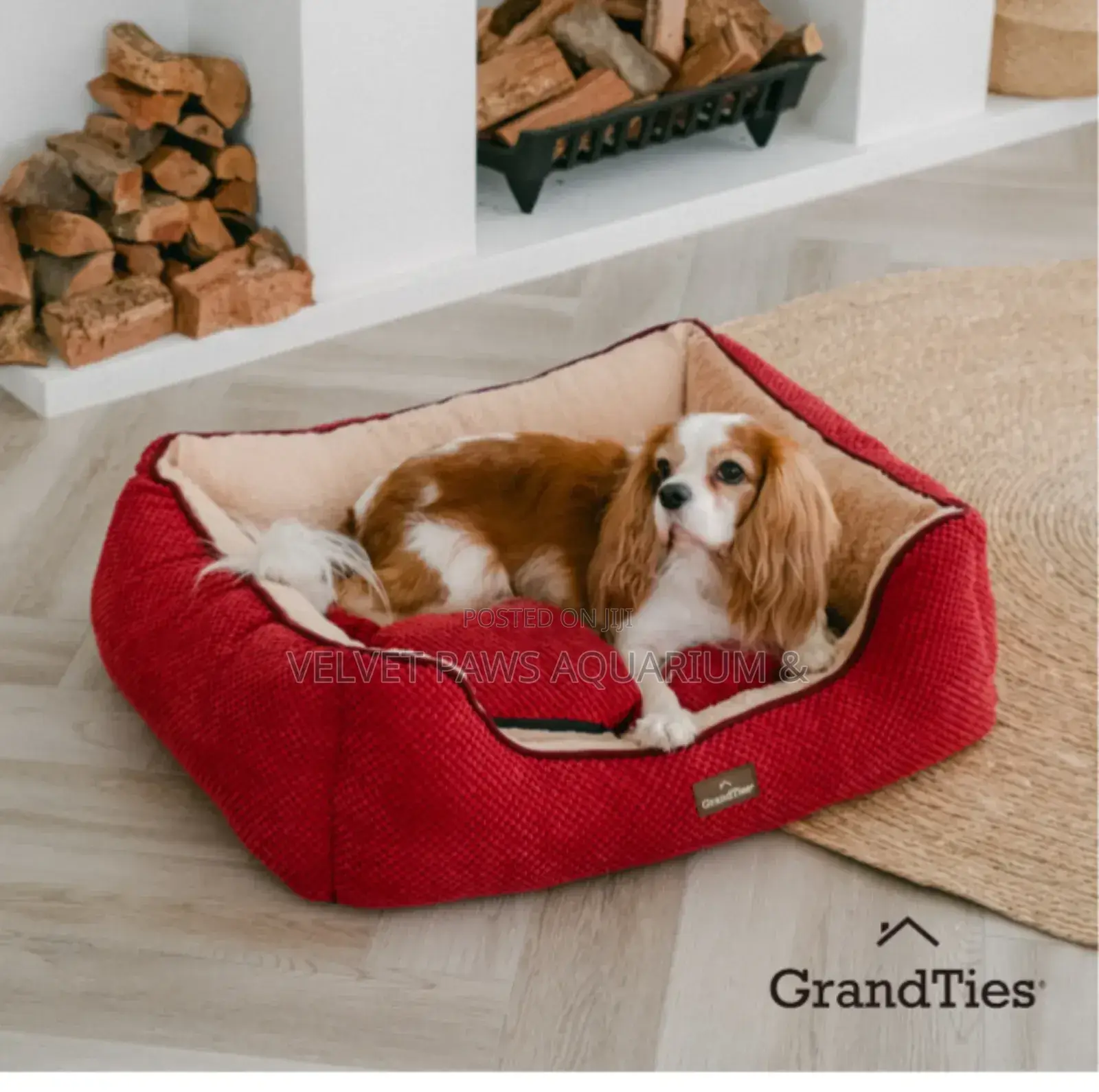 Quality Dogs and Catbed ( for Small Dogs )
